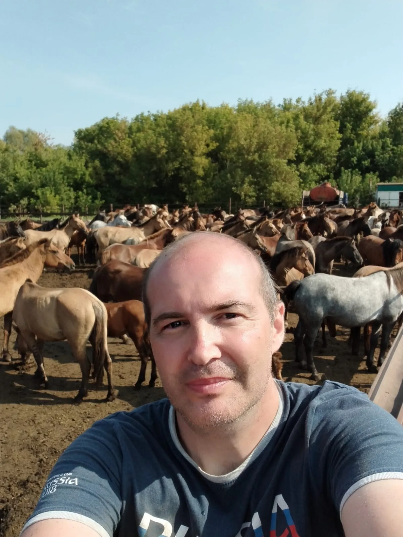 Генетики помогают башкирским лошадям стать продуктивнее