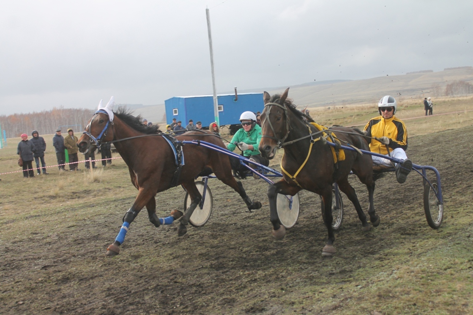 Первый фестиваль башкирской лошади пройдёт в Баймакском районе уже в августе