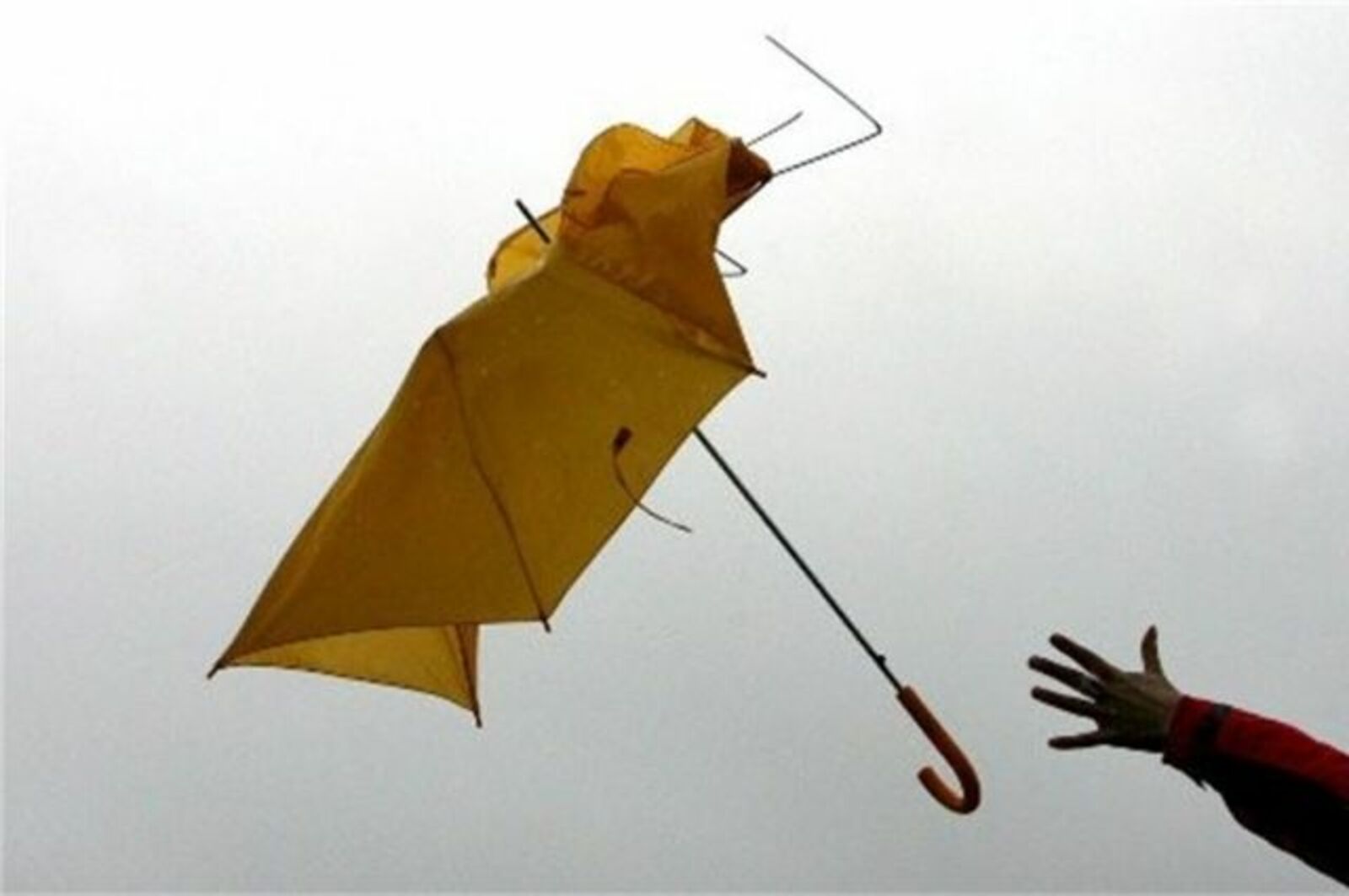 МЧС по Башкирии предупреждает о сильных порывах ветра