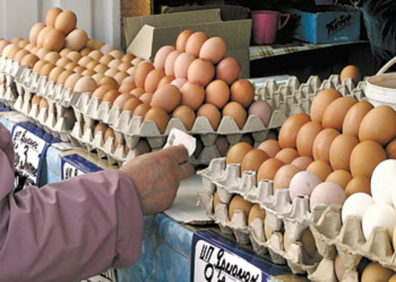 В одном из районов Башкирии зафиксировали завышение цен на куриные яйца