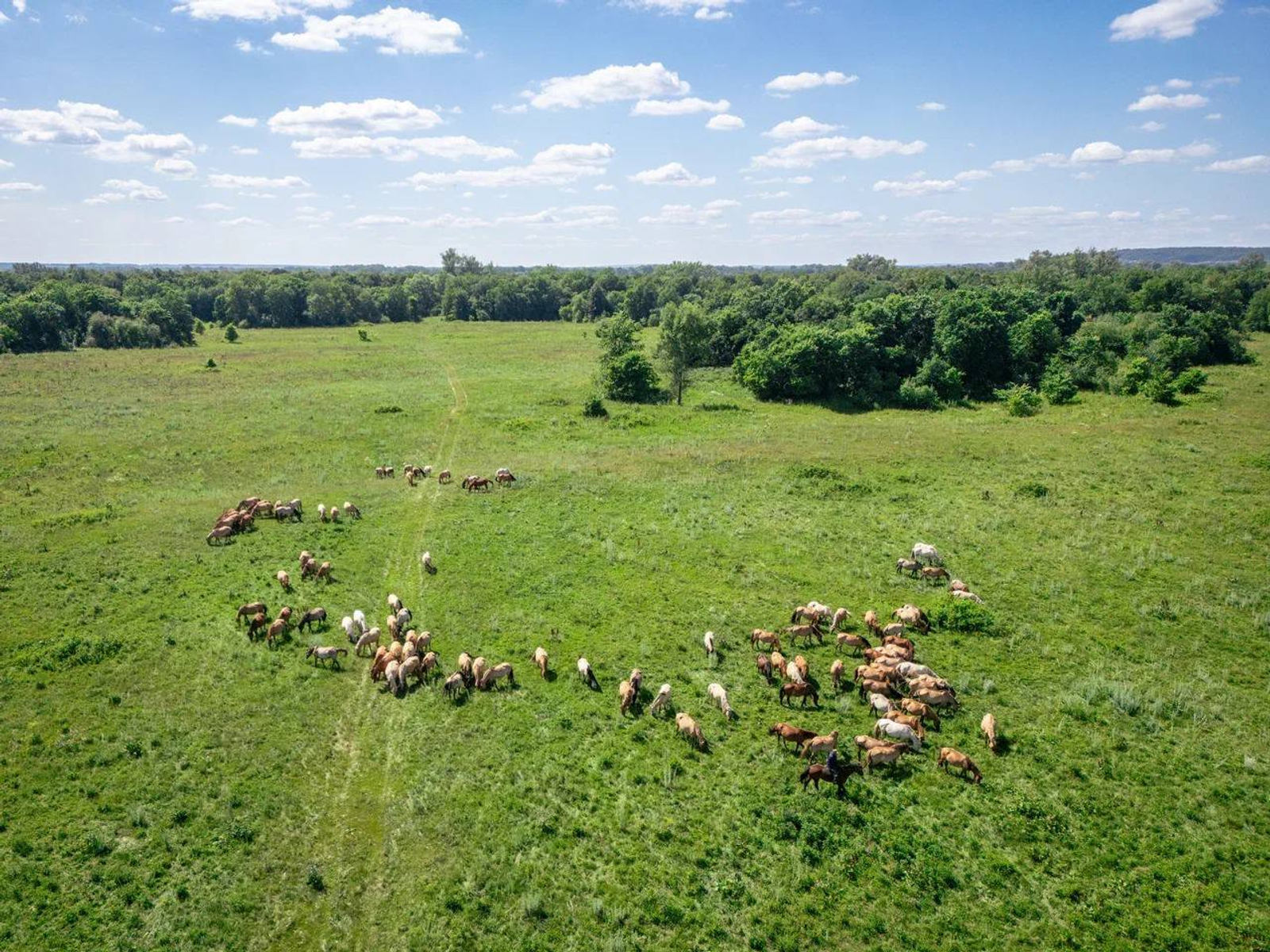 Башкирский кумыс становится популярным экспортным продуктом