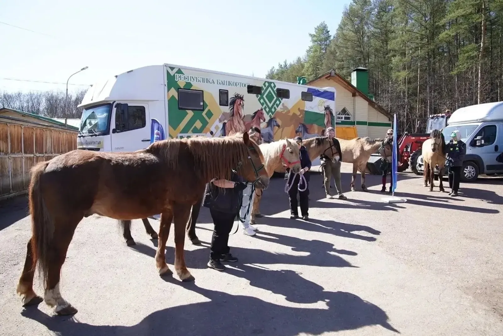 Из Баймакского района отправили лошадей в ДНР