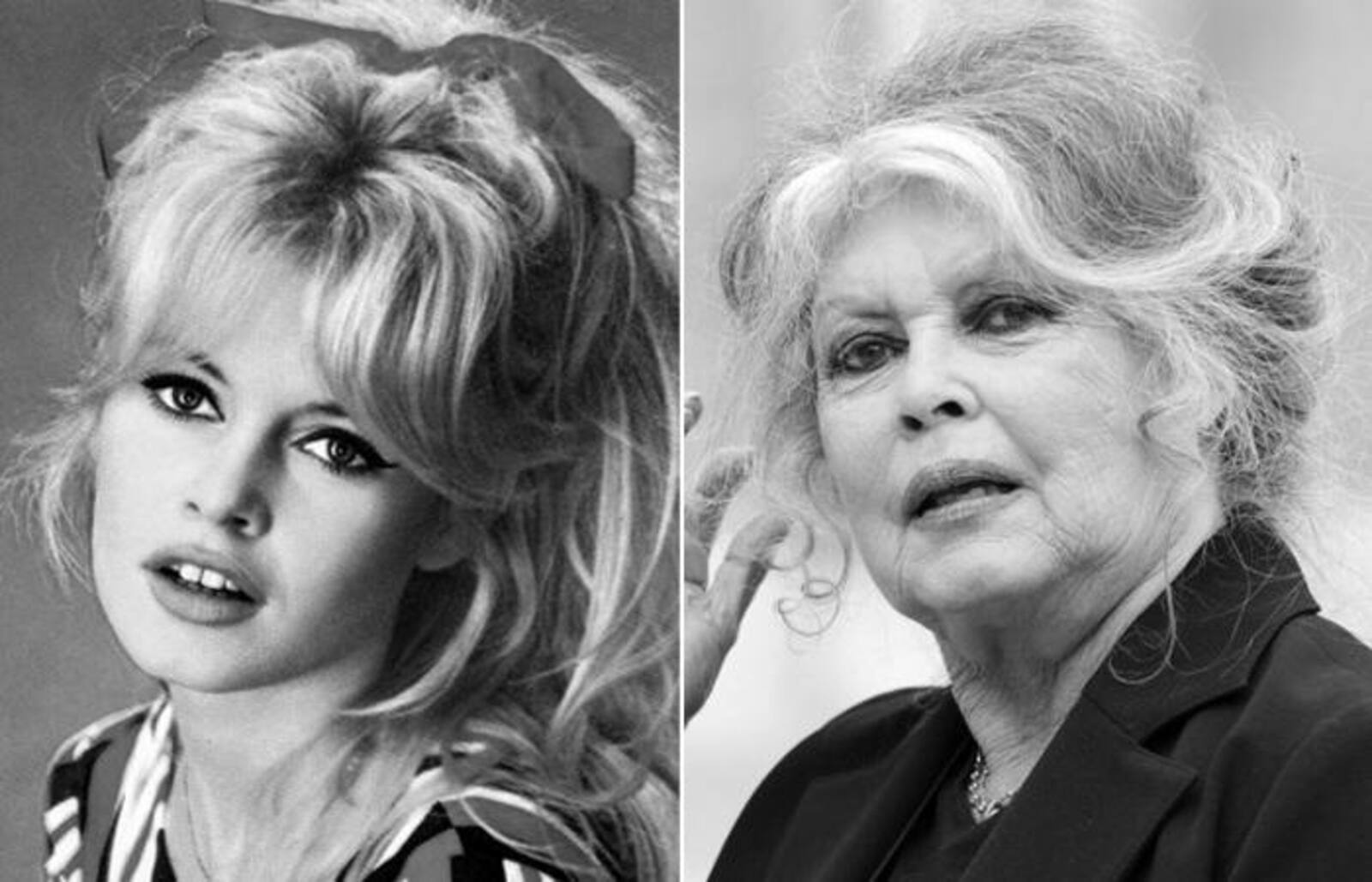 Умерла французская актриса и защитница животных Брижит Бардо