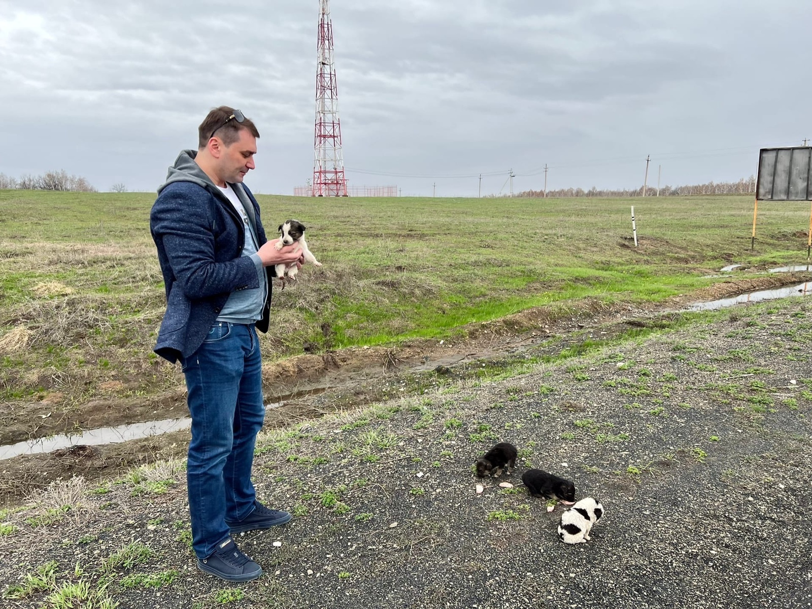 Министр торговли Башкирии Алексей Гусев спас брошенных щенят
