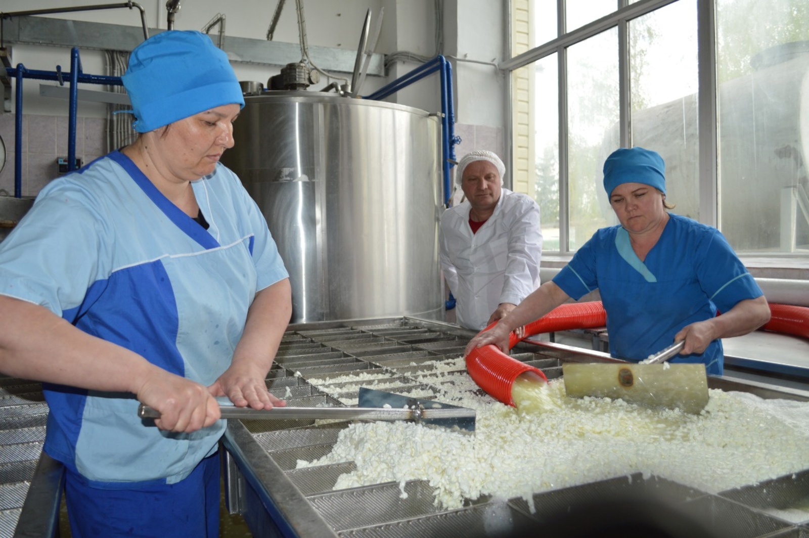В Башкирии появилось предприятие по производству сыра кальята