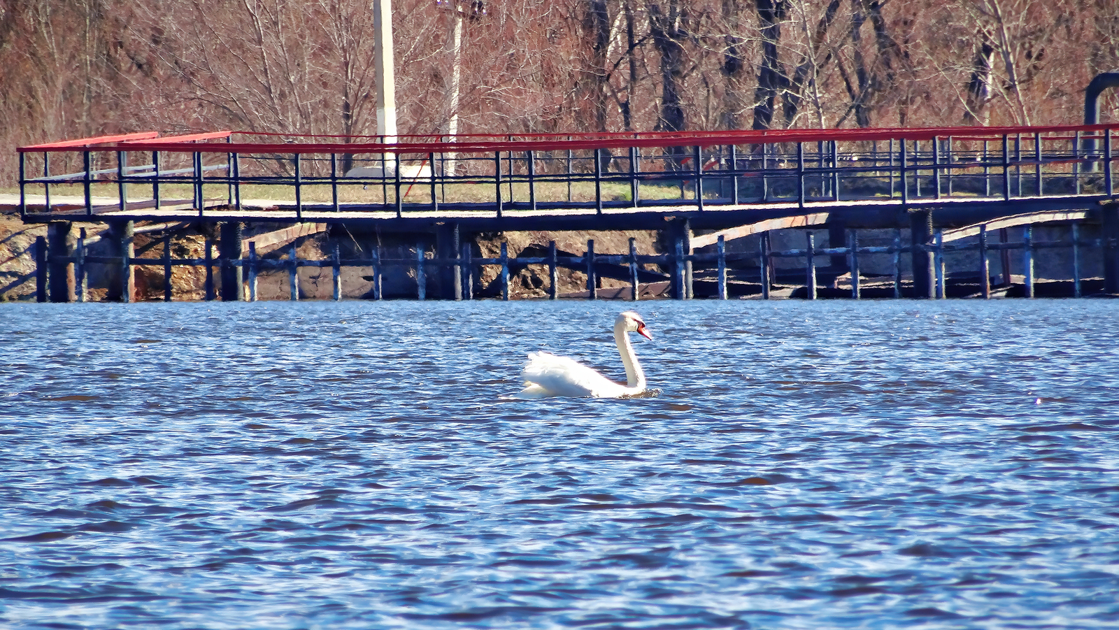 Долгожданный гость