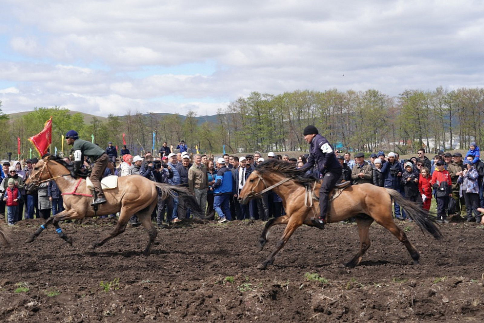 Радий Хабиров: «В Баймакском районе будет проходить ежегодный фестиваль башкирской лошади»