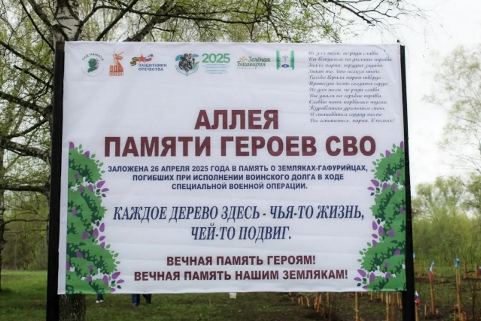 В Гафурийском районе заложили «Аллею памяти героев СВО