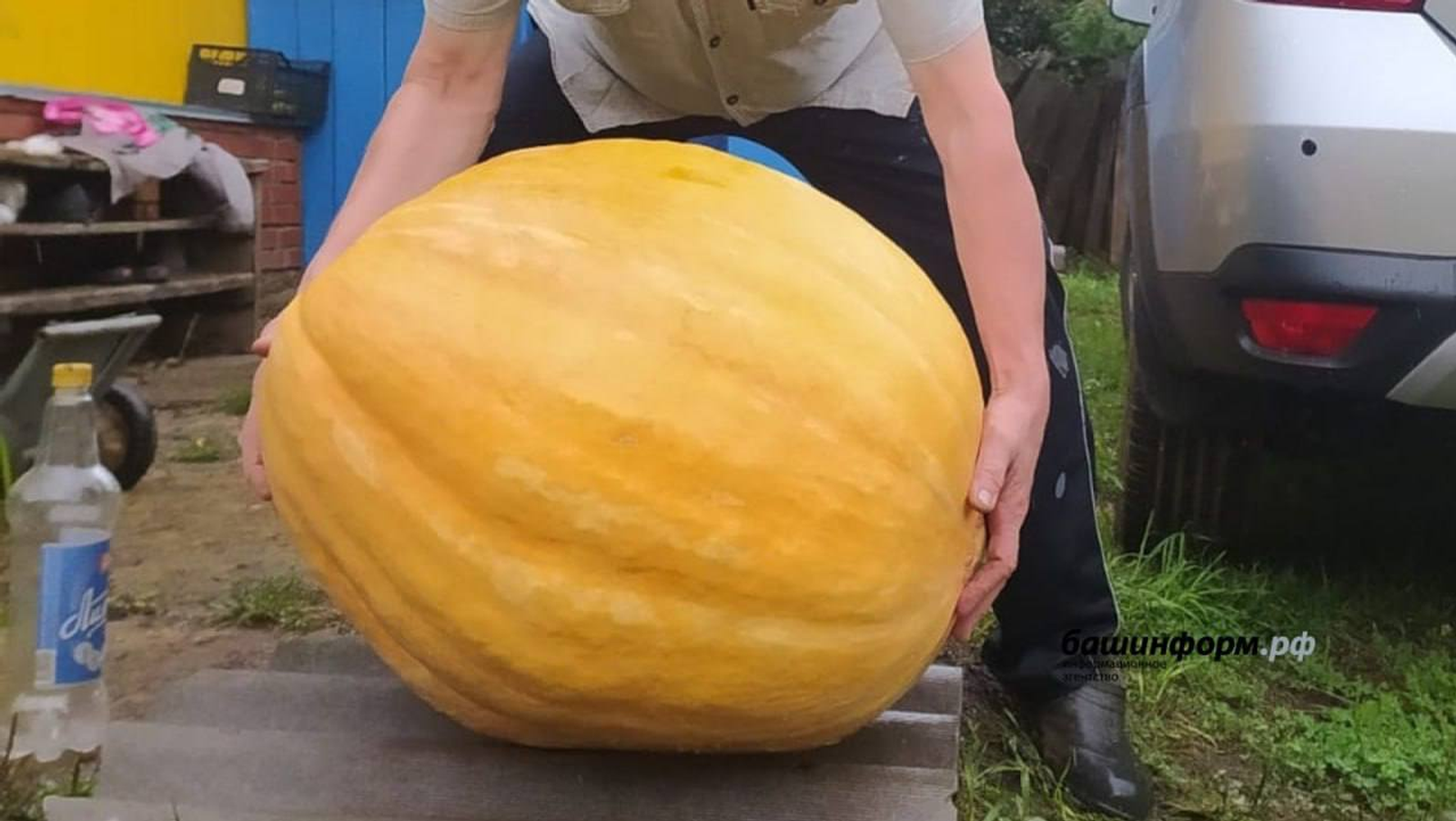 В Башкирии собрали тыквы весом по полцентнера каждая