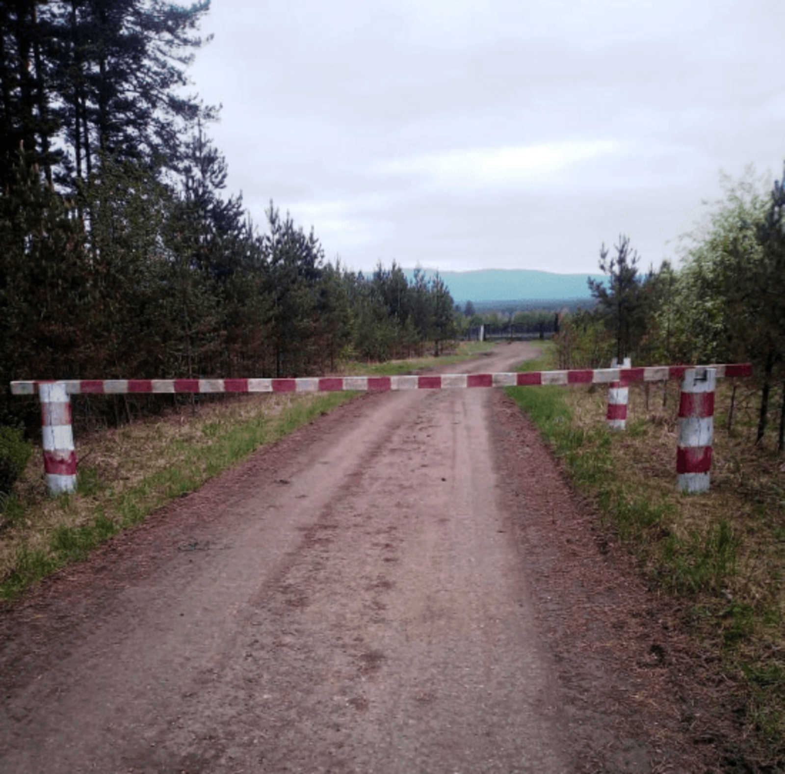 В Баймакском районе введено ограничение на посещение лесов