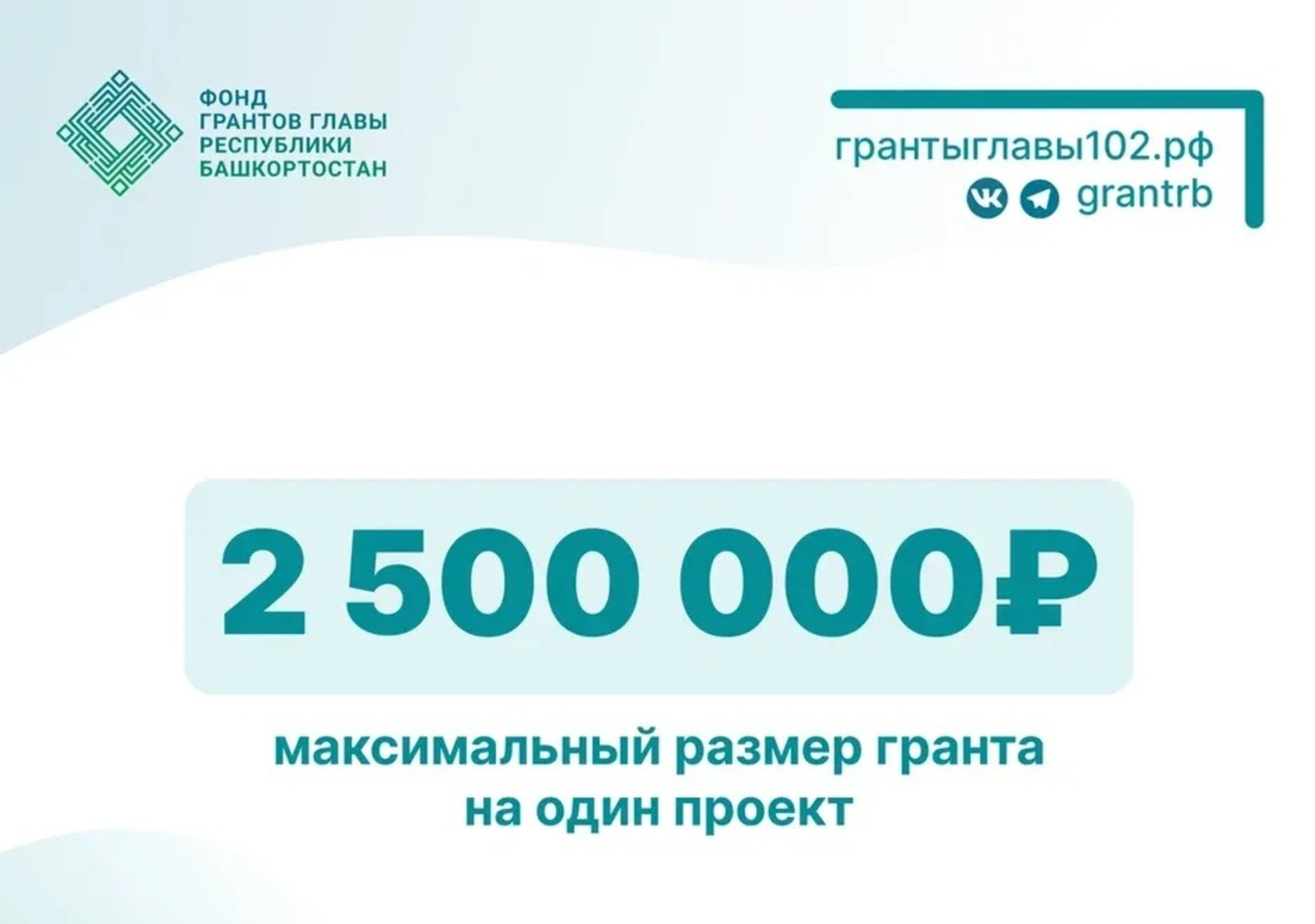 Фонд грантов Главы РБ поддержит проекты по обучению детей родным языкам