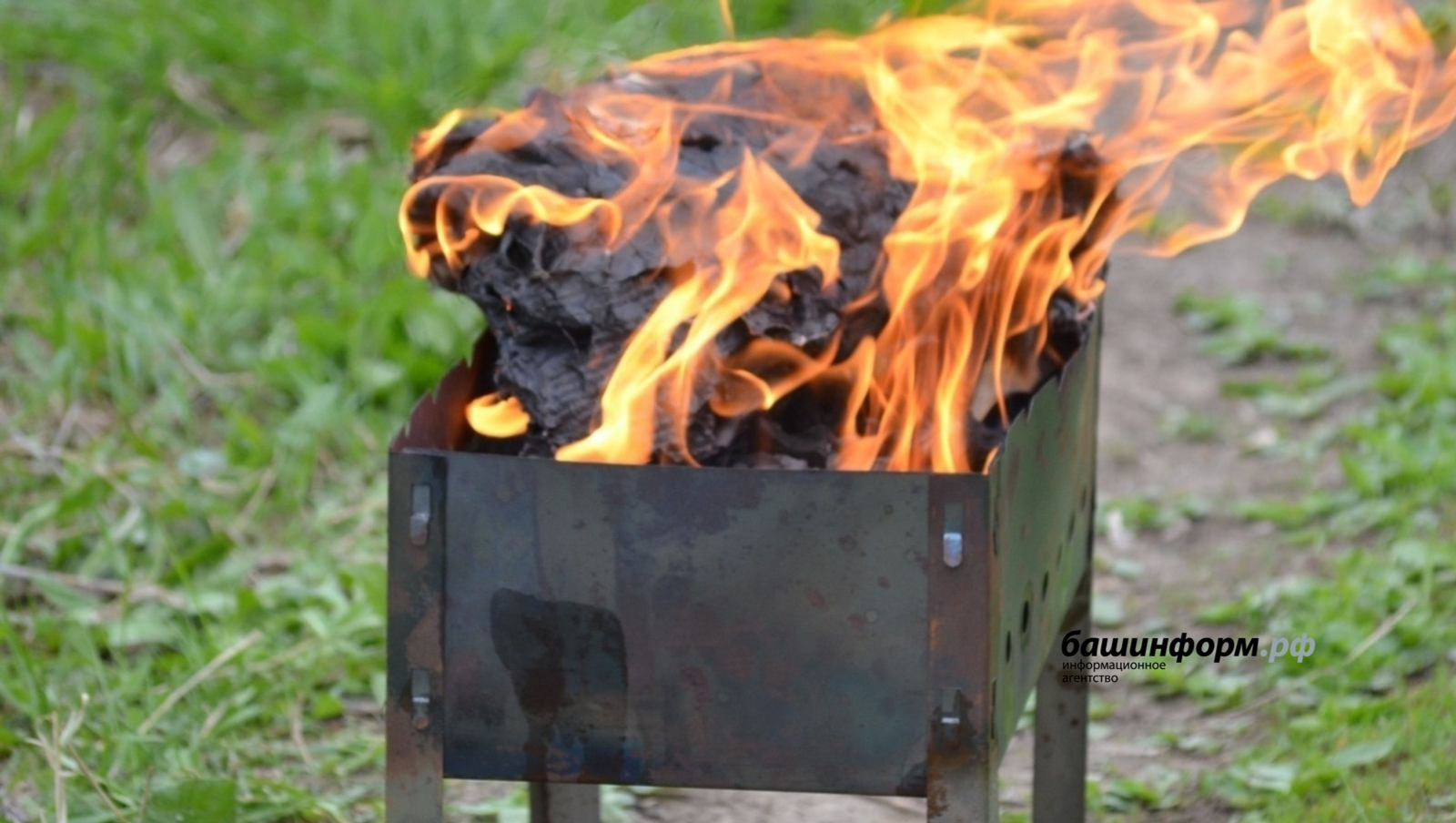 В трёх районах Башкирии введено ограничение на посещение лесных м