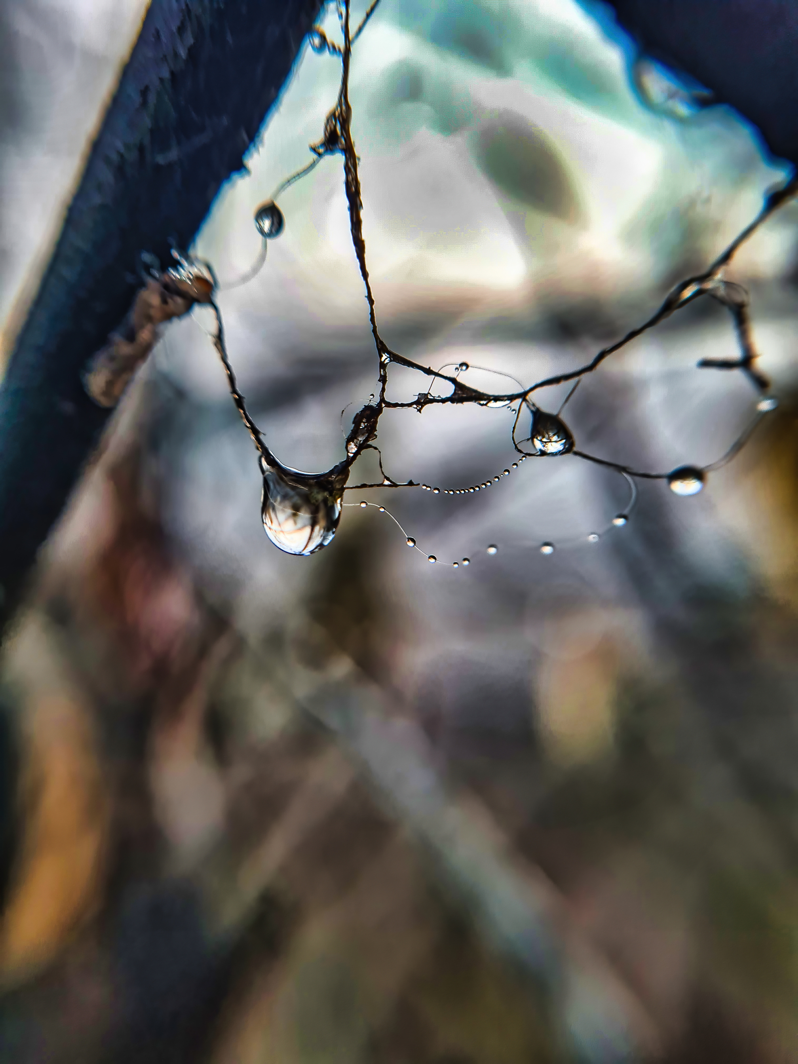 В ожидании зимы