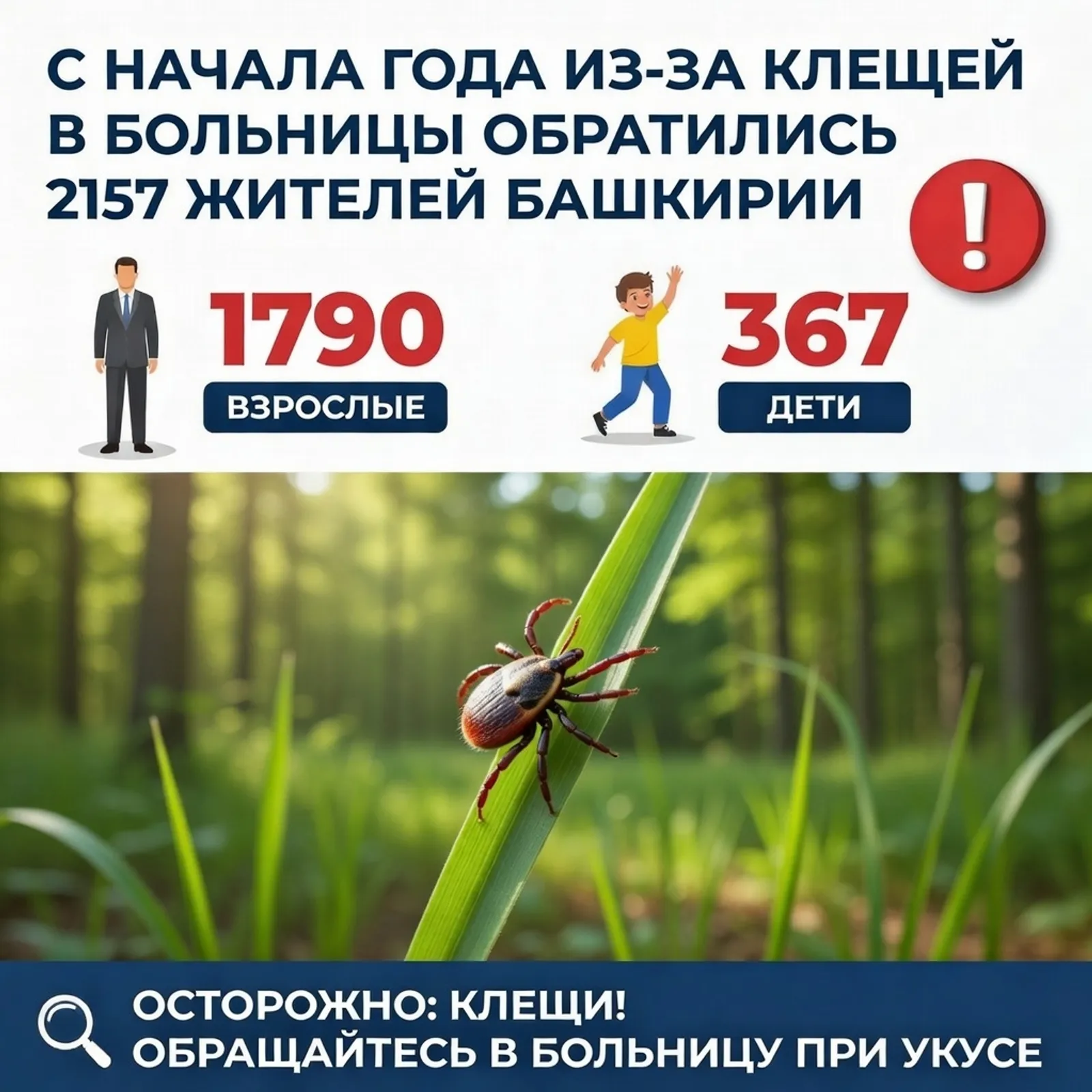 Клещи атаковали более двух тысяч жителей Башкирии